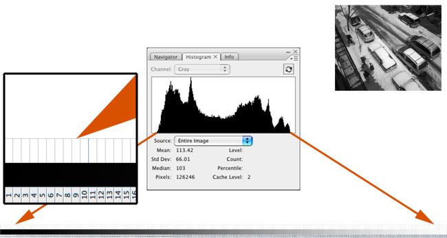 raw-histogram