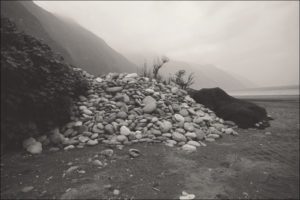 Soft proof: Piezography Split tone Warm Neutral/Selenium on JonCone Studio Type 2