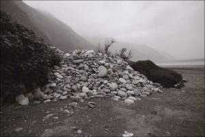 Soft proof: Piezography Split tone Glossy Warm Neutral/Selenium on JonCone Studio Type 4