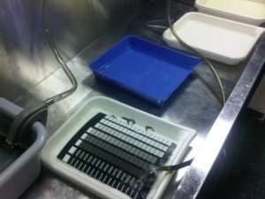 Developing out with Sprint chemistry