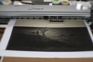 Leon by Andrea Zini being proofed in pure carbon inks.