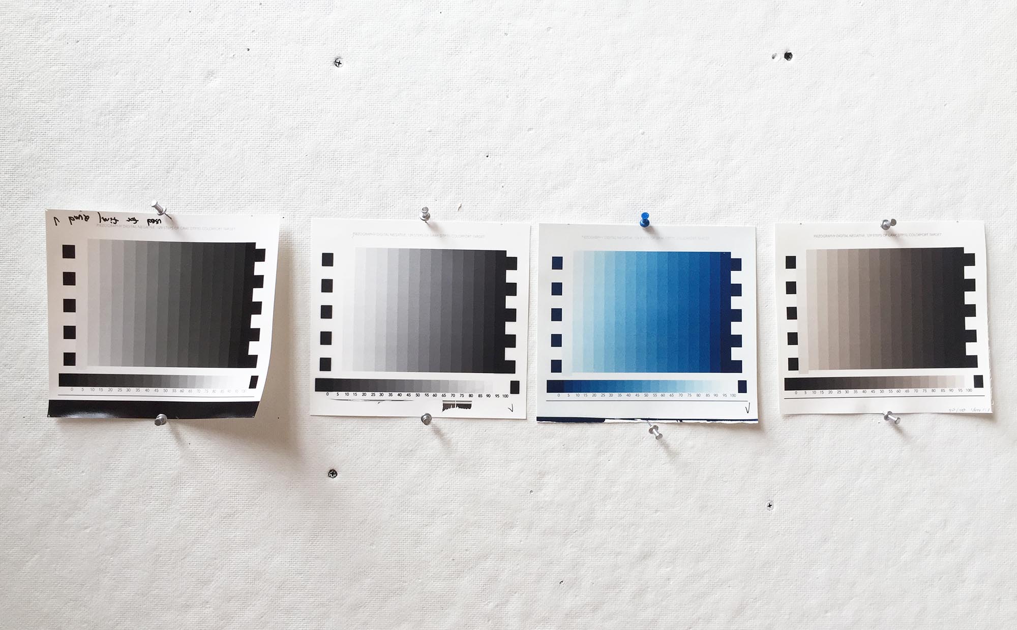 Image showing silver, ziatype, cyanotype, and platinum